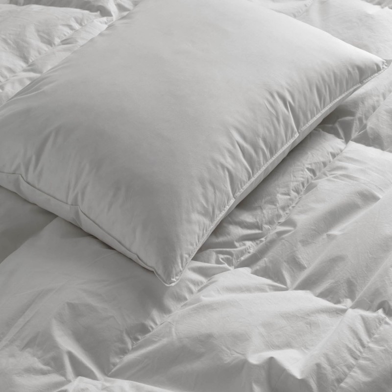 Almohada Plumón y Plumas pequeñas - HOTTELS by Vayoil